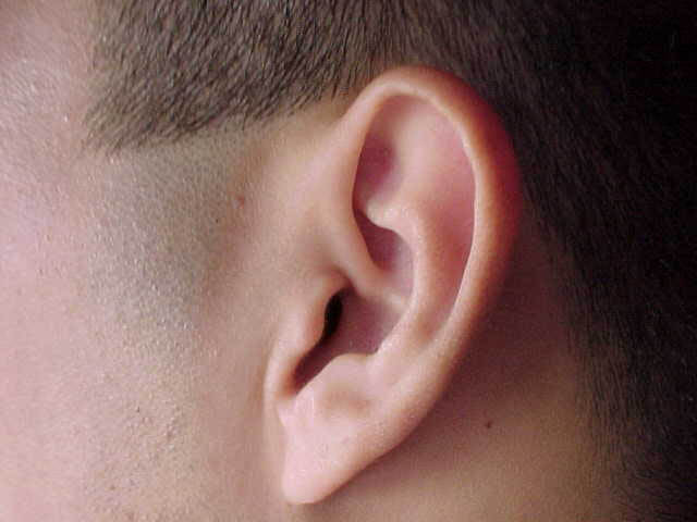 H11ob-56